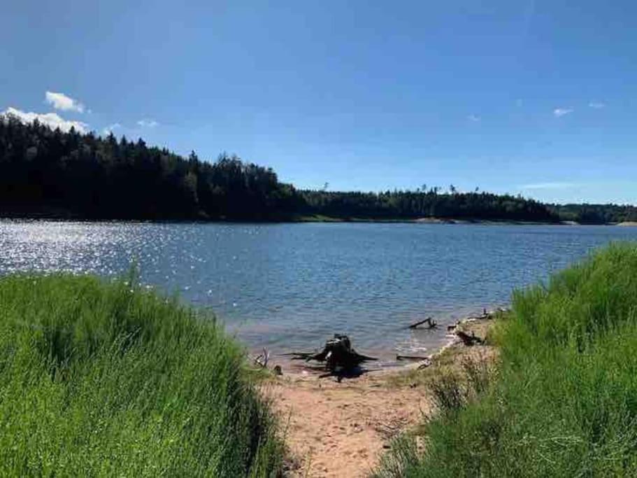 Logement Idealement Situe Sur La Voie Verte Celles-sur-Plaine Esterno foto